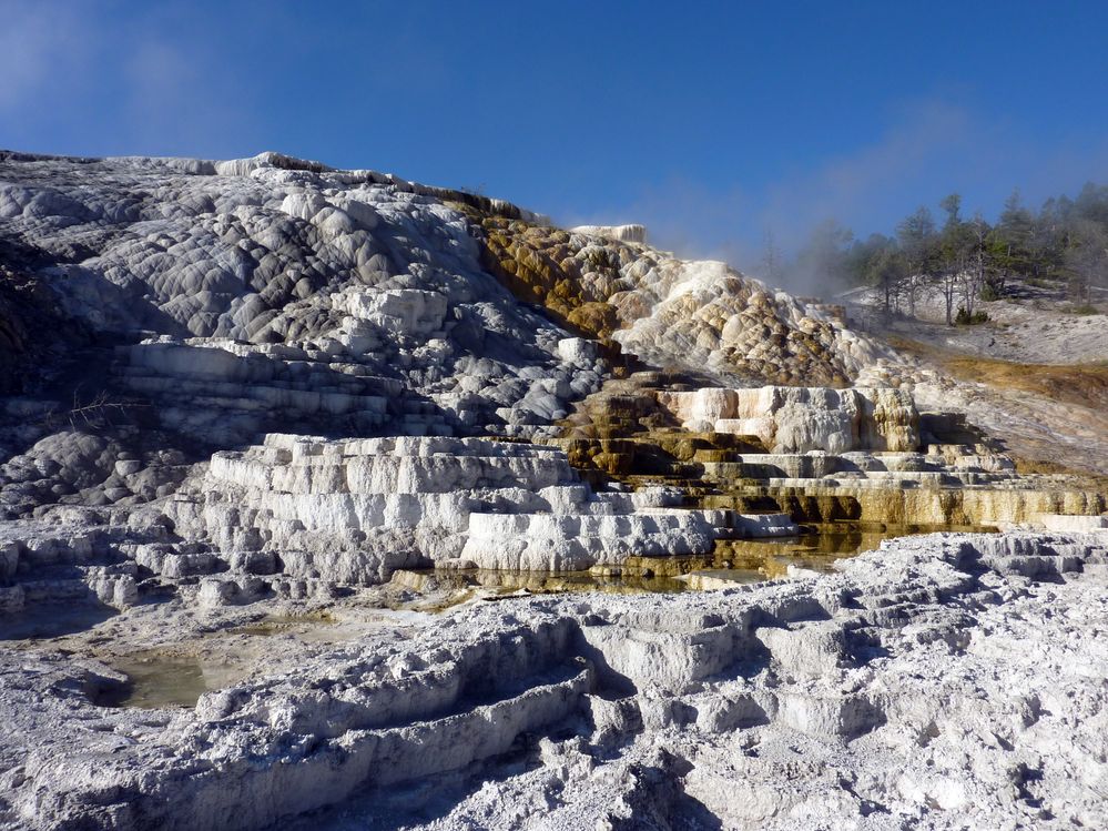Yellowstone Mammoth Hotsprings (21).JPG